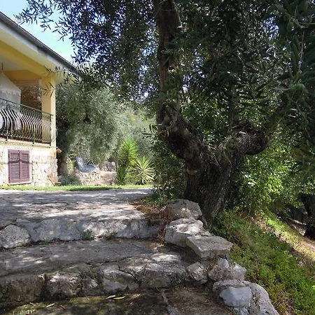 Bed & Breakfast Buenavistasurfmed *