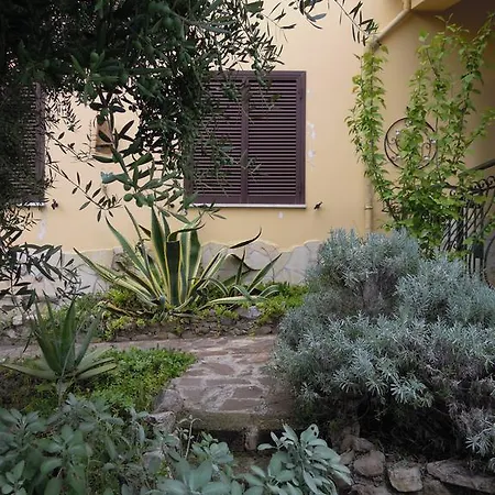 Buenavistasurfmed Itri
