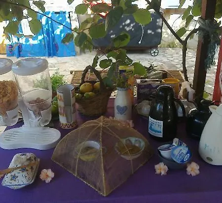 Bed & Breakfast Buenavistasurfmed