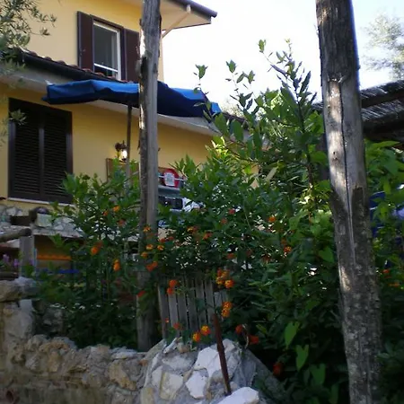 Bed & Breakfast Buenavistasurfmed *