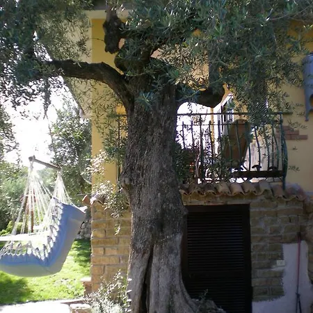 Bed & Breakfast Buenavistasurfmed *